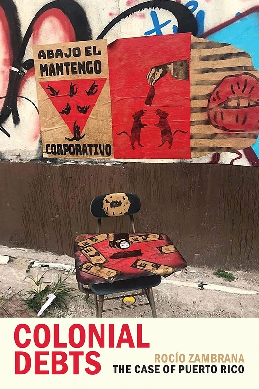 Colonial Debts: The Case of Puerto Rico (Radical Américas)