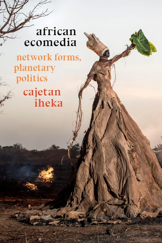 African Ecomedia: Network Forms, Planetary Politics - Image 1