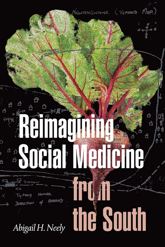Reimagining Social Medicine from the South - Image 1
