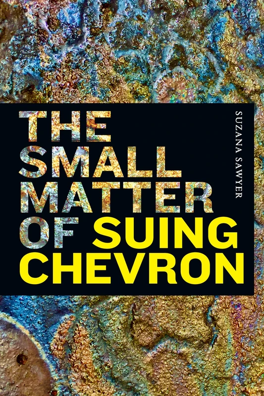 The Small Matter of Suing Chevron - Image 1