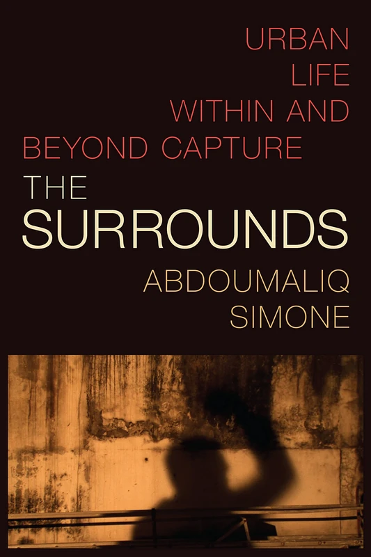 The Surrounds: Urban Life within and beyond Capture (Theory in Forms)