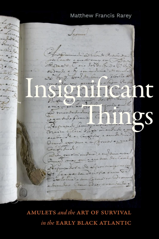 Insignificant Things: Amulets and the Art of Survival in the Early Black Atlantic (The Visual Arts of Africa and its Diasporas)