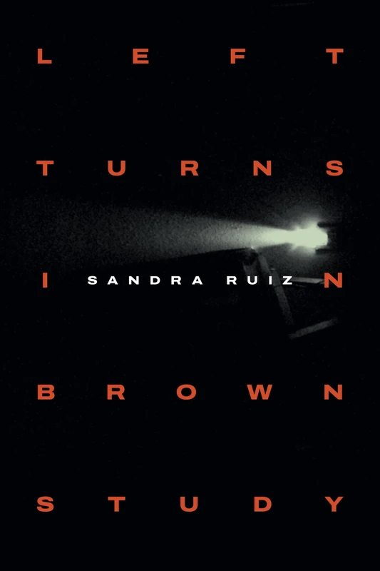 Left Turns in Brown Study (Writing Matters!) - Image 1