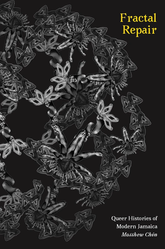 Fractal Repair: Queer Histories of Modern Jamaica (Perverse Modernities: A Series Edited by Jack Halberstam and Lisa Lowe) - Image 1