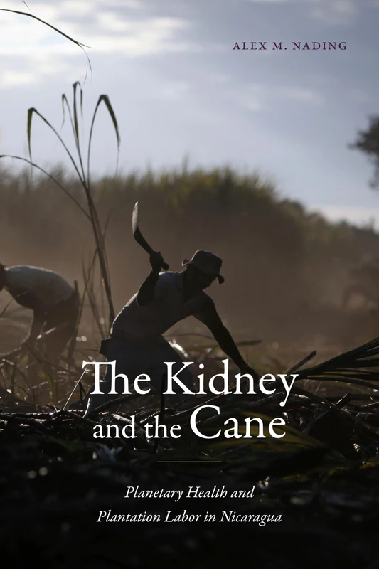 The Kidney and the Cane: Planetary Health and Plantation Labor in Nicaragua (Critical Global Health: Evidence, Efficacy, Ethnography) - Image 1