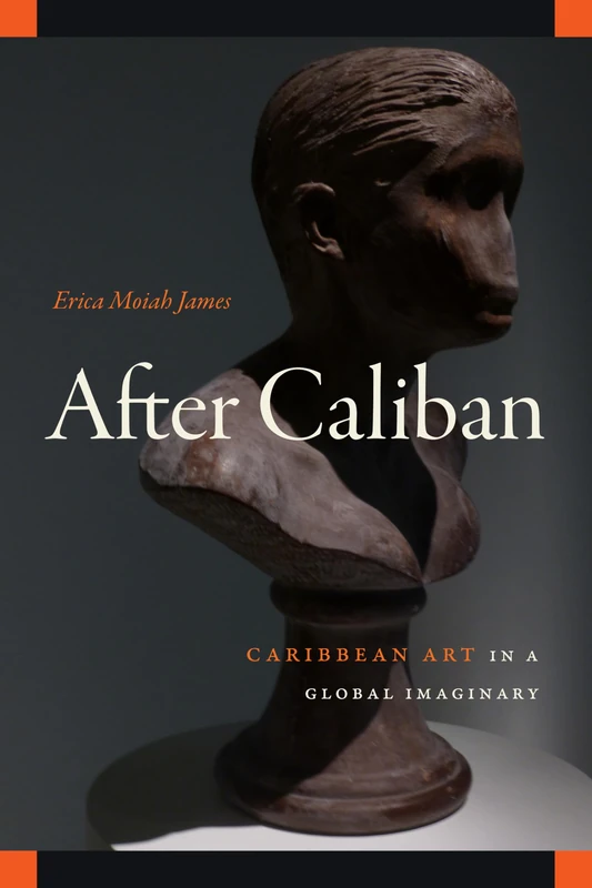 After Caliban: Caribbean Art in a Global Imaginary (The Visual Arts of Africa and Its Diasporas)