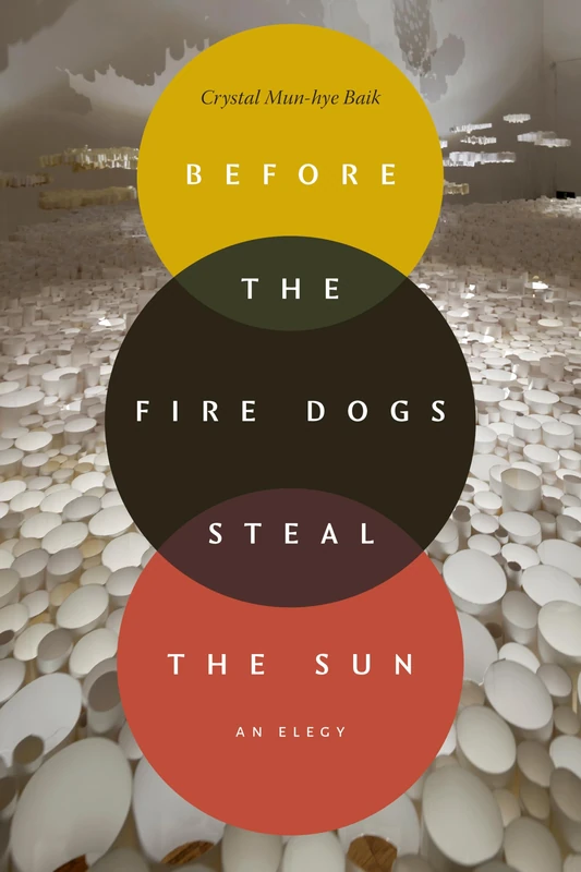 Before the Fire Dogs Steal the Sun: An Elegy (Next Wave: New Directions in Women's Studies)