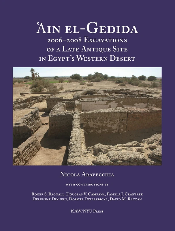 'Ain el-Gedida: 2006-2008 Excavations of a Late Antique Site in Egypt's Western Desert (Amheida IV): 8 (ISAW Monographs)