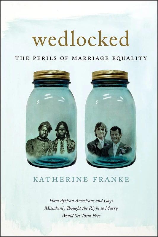 Wedlocked: The Perils of Marriage Equality: 38 (Sexual Cultures)