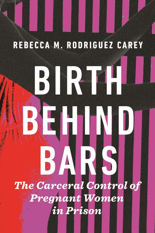 Birth Behind Bars: The Carceral Control of Pregnant Women: The Carceral Control of Pregnant Women in Prison