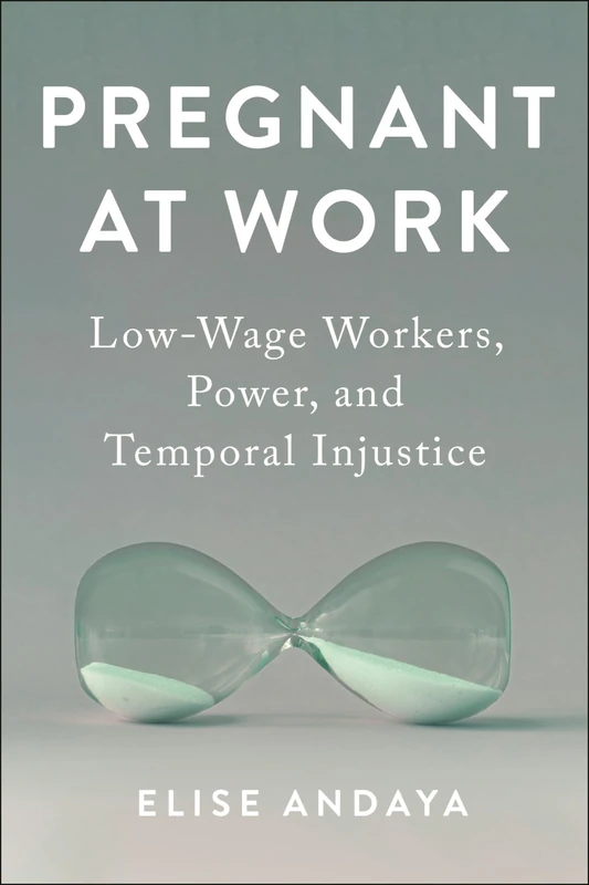 Pregnant at Work: Low-Wage Workers, Power, and Temporal Injustice: 11 (Anthropologies of American Medicine: Culture, Power, and Practice)