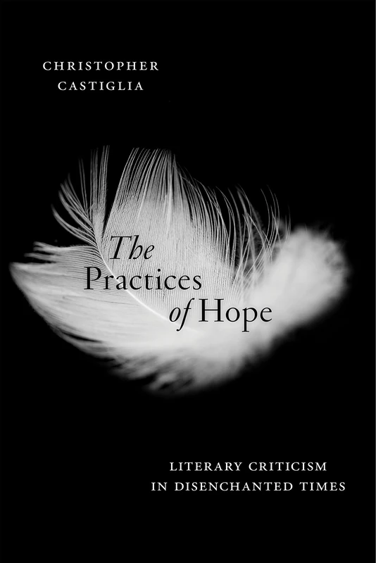 The Practices of Hope: Literary Criticism in Disenchanted Times - Image 1