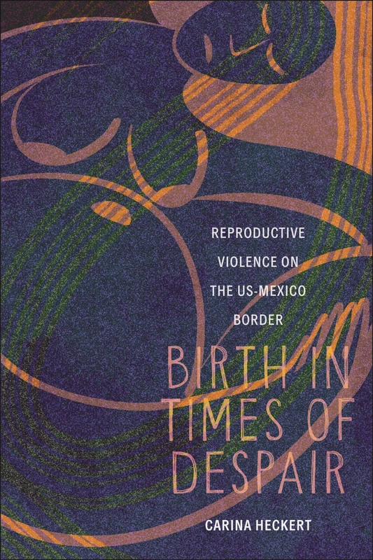 Birth in Times of Despair: Reproductive Violence on the US-Mexico Border: 18 (Anthropologies of American Medicine: Culture, Power, and Practice)