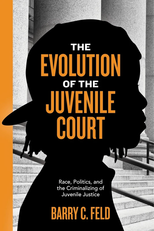 The Evolution of the Juvenile Court: Race, Politics, and the Criminalizing of Juvenile Justice: 4 (Youth, Crime, and Justice)