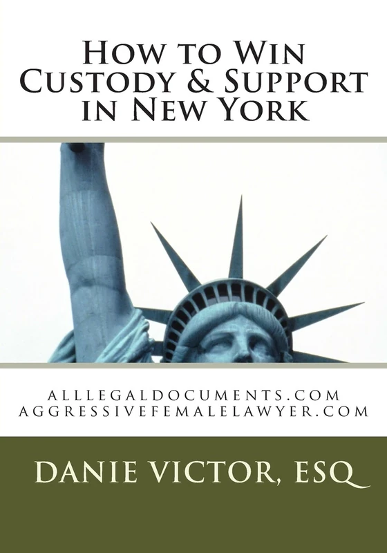 How to Win Custody & Support in New York: alllegaldocuments.com aggressivefemalelawyer.com: Volume 1 (alllegaldocuments.com 500 legal forms book series)
