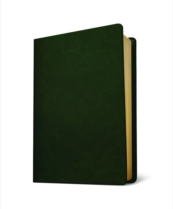 Baylor Annotated Study Bible: Baylor Study Bible