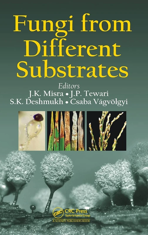 Fungi From Different Substrates (Progress in Mycological Research)
