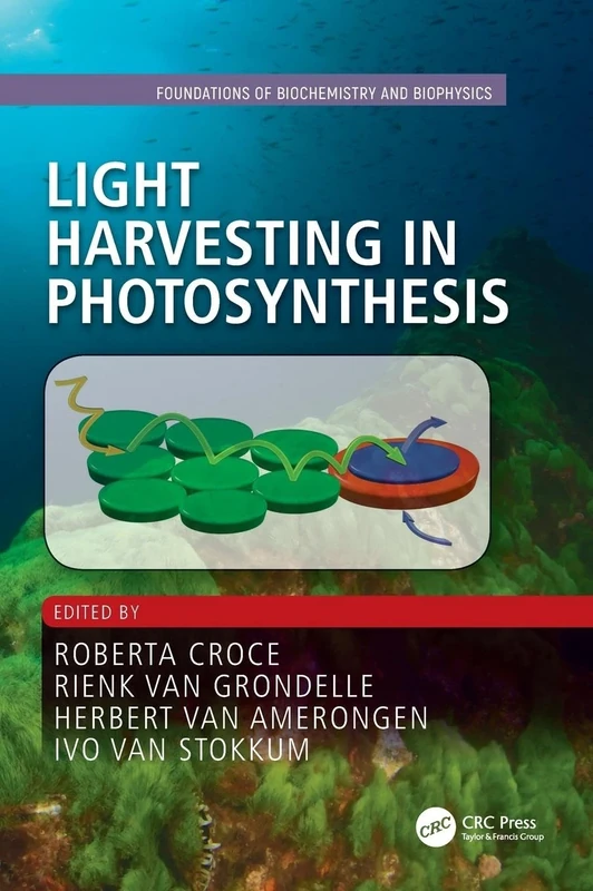 Light Harvesting in Photosynthesis (Foundations of Biochemistry and Biophysics)