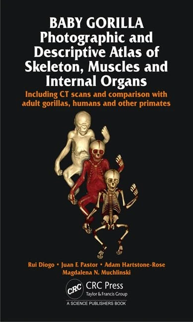 Baby Gorilla: Photographic and Descriptive Atlas of Skeleton, Muscles and Internal Organs - Image 1