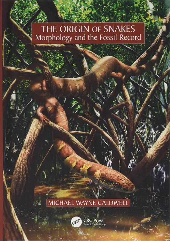 The Origin of Snakes: Morphology and the Fossil Record