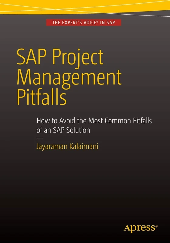 SAP Project Management Pitfalls: How to Avoid the Most Common Pitfalls of an SAP Solution