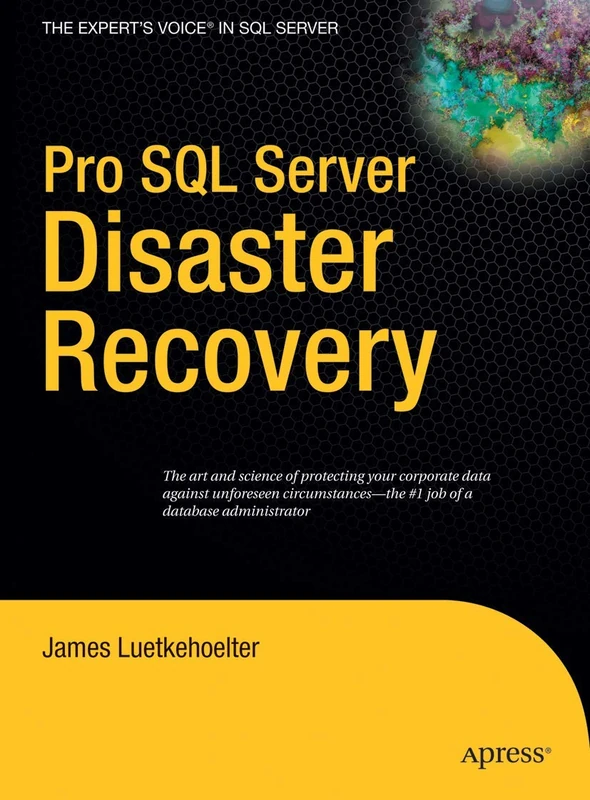Pro SQL Server Disaster Recovery - Image 1