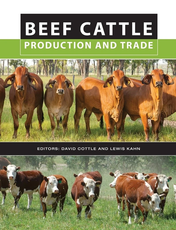 Beef Cattle Production and Trade