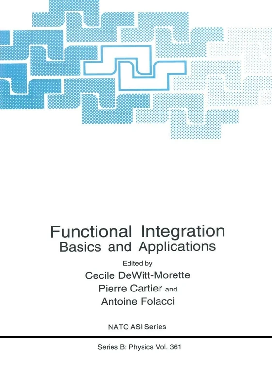 Functional Integration: Basics and Applications: 361 (NATO Science Series B:, 361)