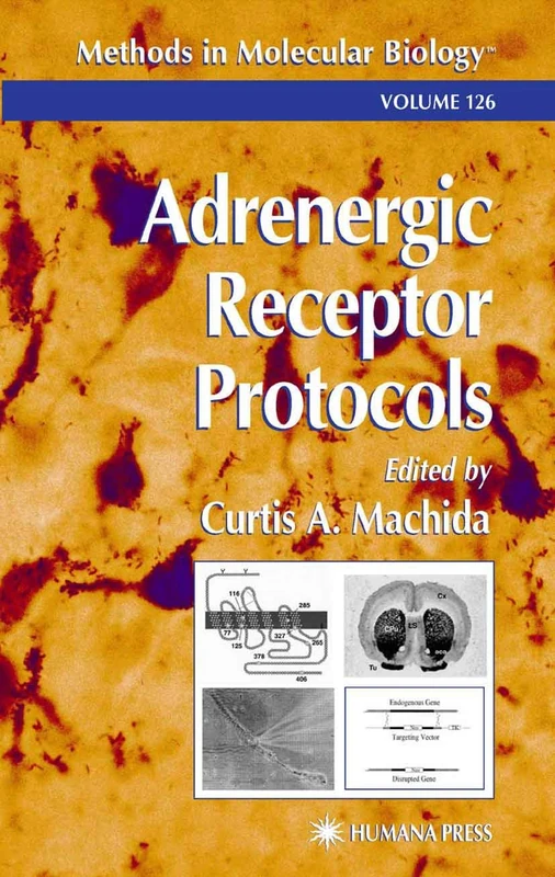 Adrenergic Receptor Protocols: 126 (Methods in Molecular Biology)