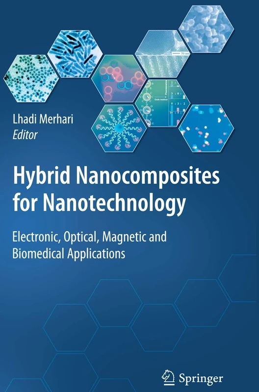 Hybrid Nanocomposites for Nanotechnology: Electronic, Optical, Magnetic and Biomedical Applications