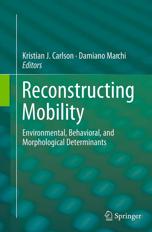Springer - Reconstructing Mobility: Environmental and Behavioral