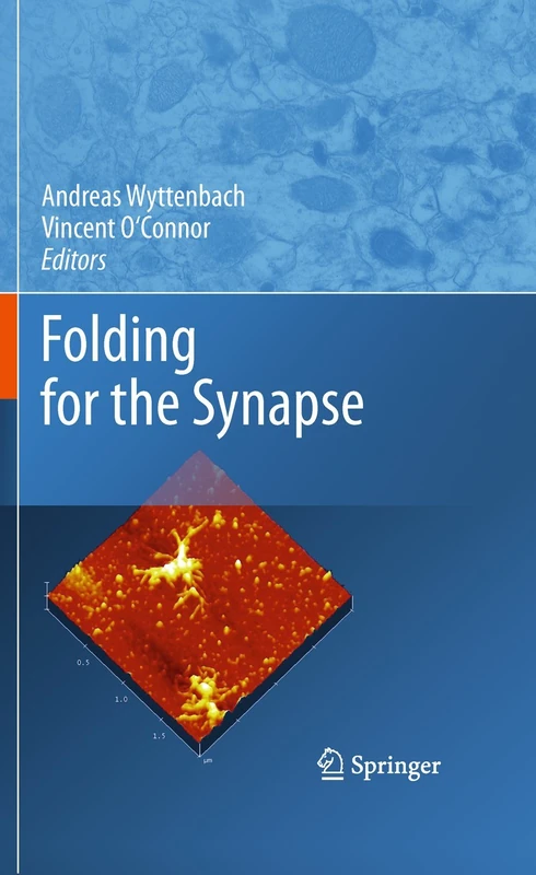 Springer - Folding for the Synapse - Medical Science Book