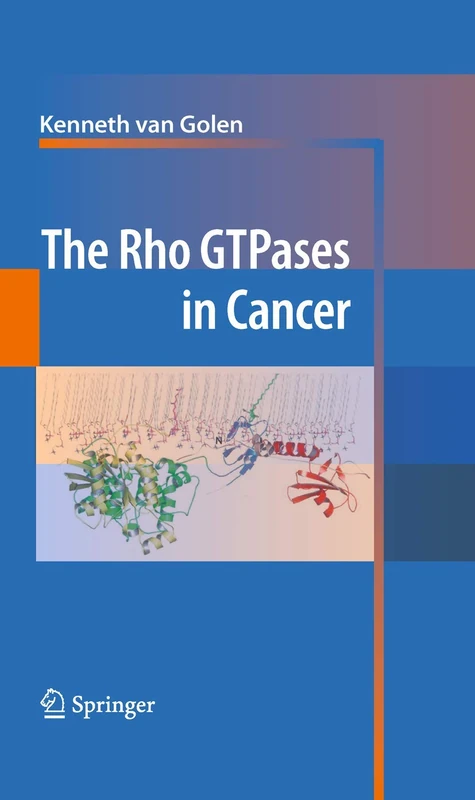 The Rho GTPases in Cancer - Image 1