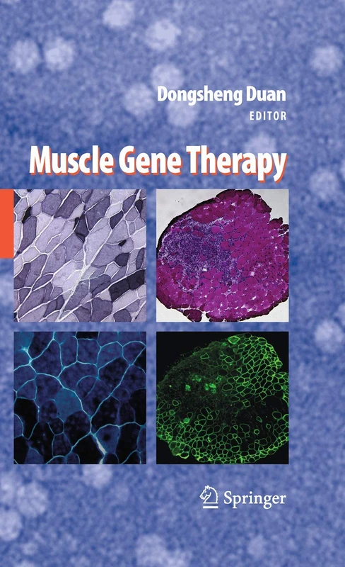 Muscle Gene Therapy - Image 1