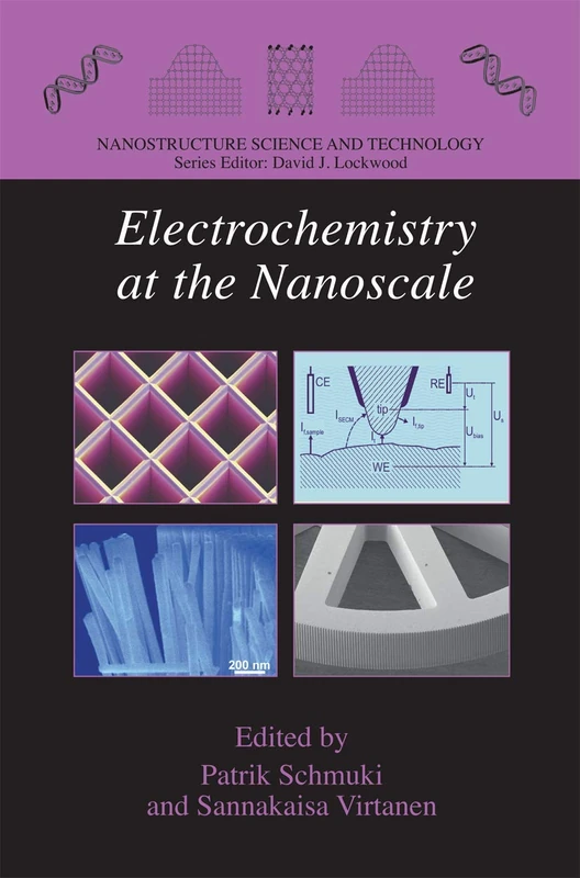 Electrochemistry at the Nanoscale (Nanostructure Science and Technology)
