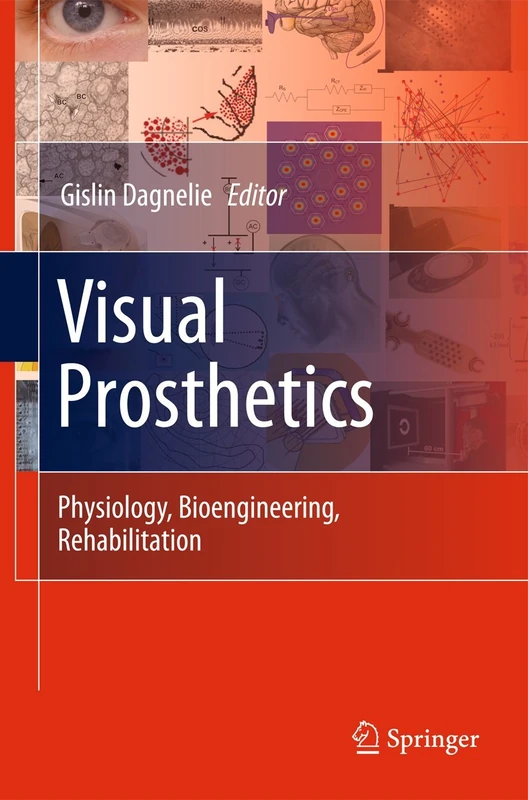 Visual Prosthetics: Physiology, Bioengineering, Rehabilitation