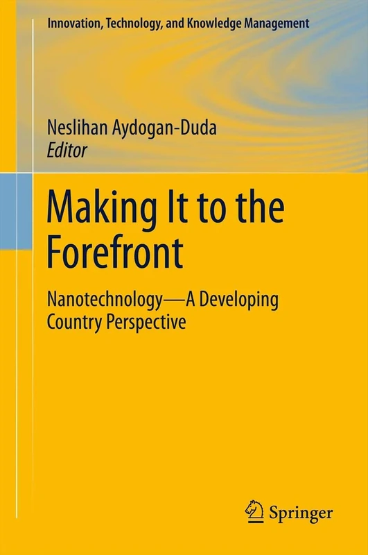 Making It to the Forefront: Nanotechnology―A Developing Country Perspective: 14 (Innovation, Technology, and Knowledge Management, 14)