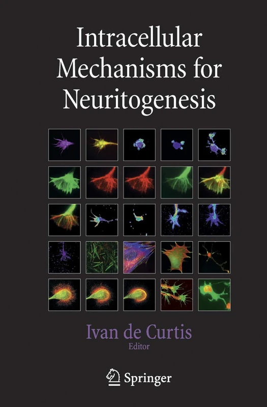 Intracellular Mechanisms for Neuritogenesis