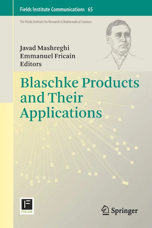 Blaschke Products and Their Applications: 65 (Fields Institute Communications, 65)
