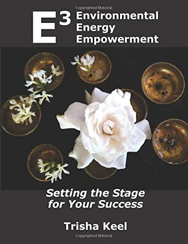 Environmental Energy Empowerment: Setting the Stage for Your Success