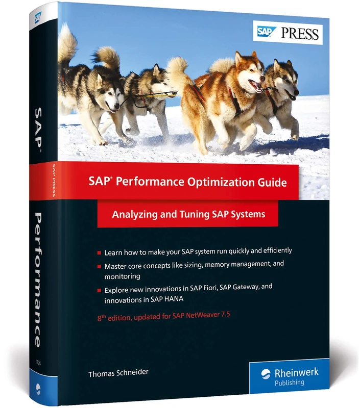SAP Performance Optimization Guide: Analyzing and Tuning SAP Systems - Image 1