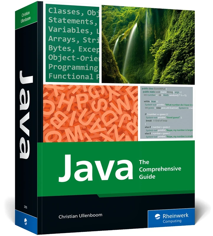 Java: The Comprehensive Guide (Rheinwerk Computing)