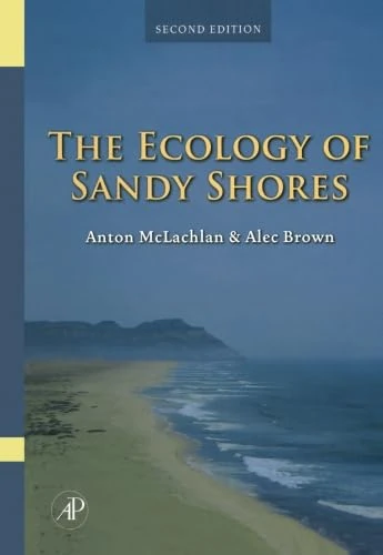 The Ecology of Sandy Shores
