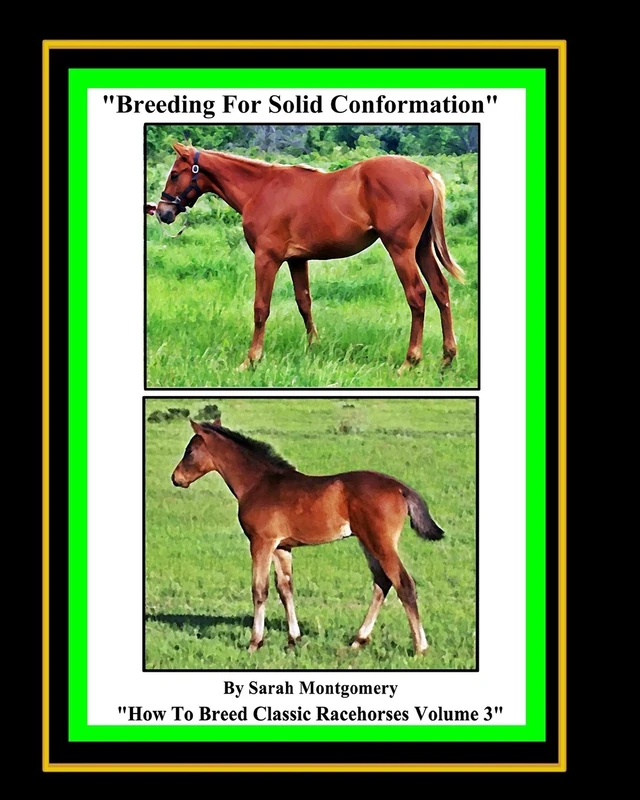 Breeding For Solid Conformation: Volume 3 (How To Breed Classic Racehorses)