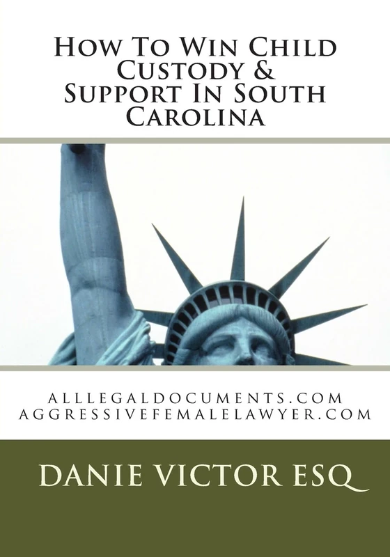 How To Win Child Custody & Support In South Carolina: alllegaldocuments.com aggressivefemalelawyer.com: Volume 1 (500 legal forms book series)