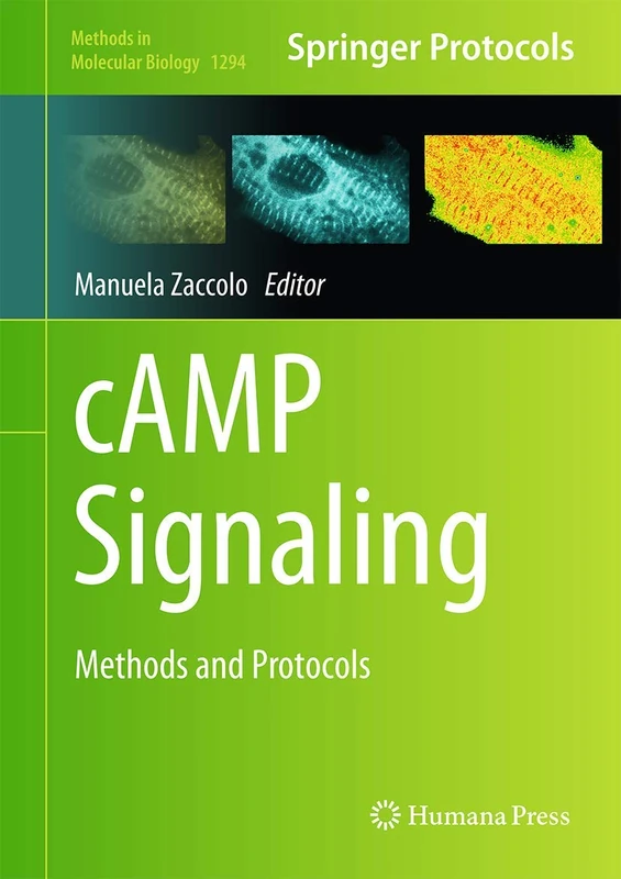 cAMP Signaling: Methods and Protocols: 1294 (Methods in Molecular Biology, 1294)