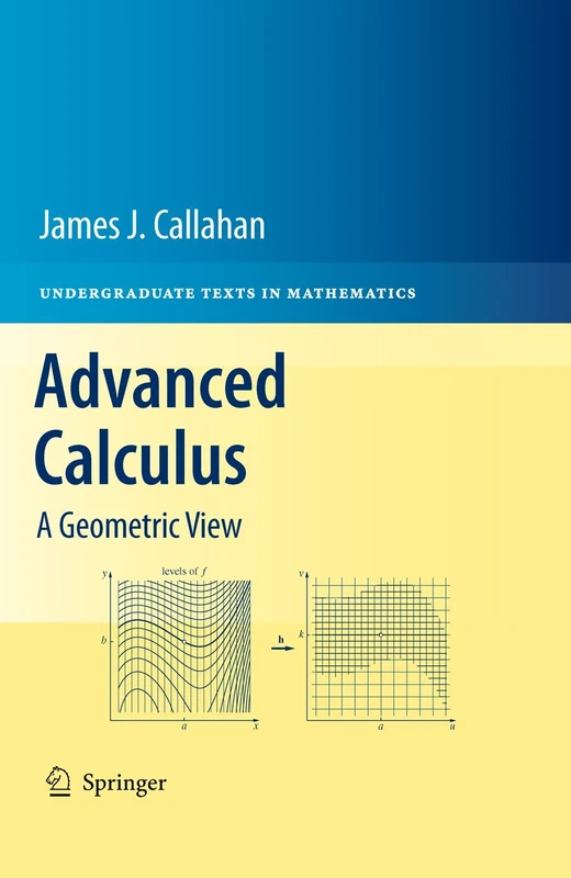 Advanced Calculus: A Geometric View (Undergraduate Texts in Mathematics)