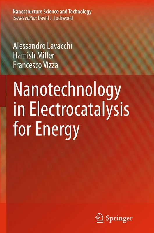 Nanotechnology in Electrocatalysis for Energy: 170 (Nanostructure Science and Technology, 170)
