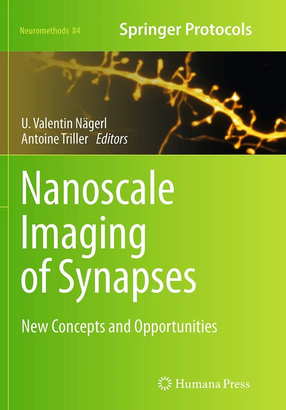 Nanoscale Imaging of Synapses: New Concepts and Opportunities: 84 (Neuromethods, 84)