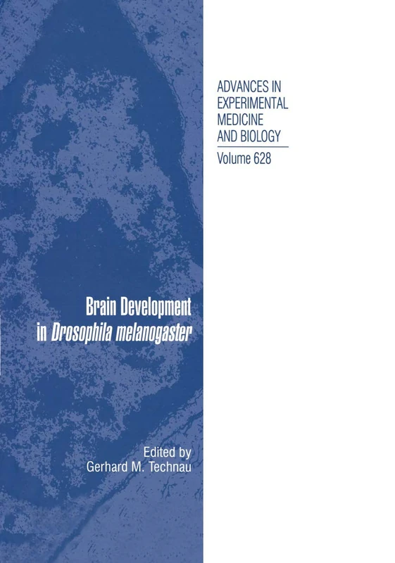 Springer - Brain Development in Drosophila melanogaster 628